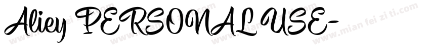 Aliey PERSONAL USE字体转换